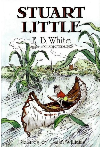 Stuart Little Reading Level: A Complete Guide book cover